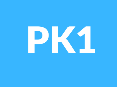 PK1 Game apk